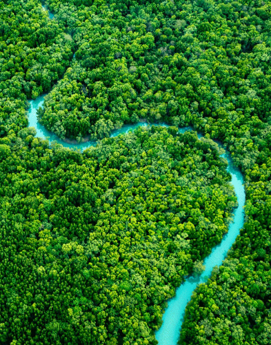 Trang chủ - Masan Consumer