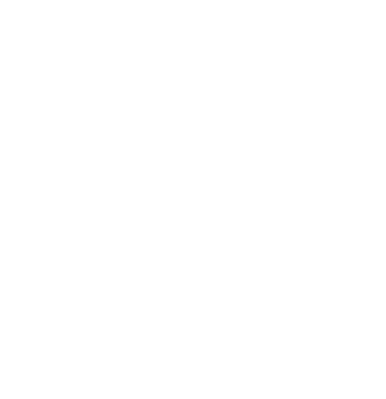 Overview - Masan Consumer