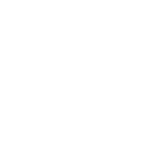 Overview - Masan Consumer