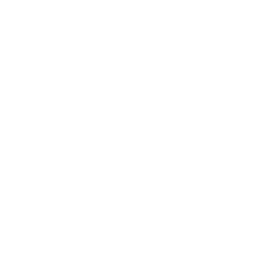 Overview - Masan Consumer