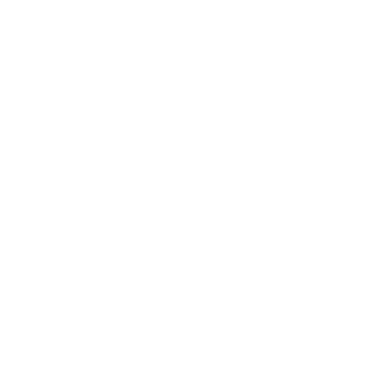 Overview - Masan Consumer