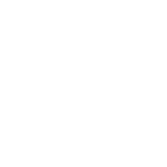 Overview - Masan Consumer