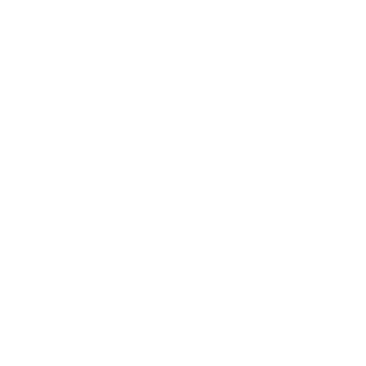 Overview - Masan Consumer