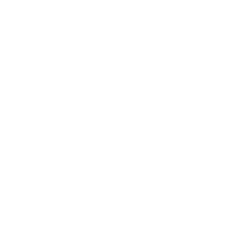 Overview - Masan Consumer