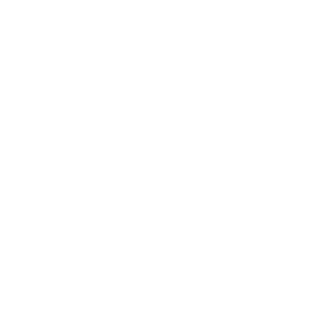 Overview - Masan Consumer