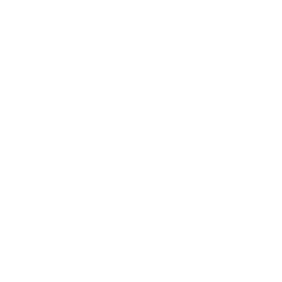 Overview - Masan Consumer