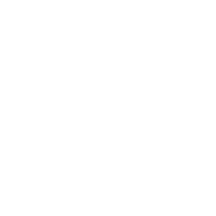 Overview - Masan Consumer